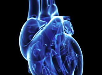 ¿Qué tipos de ejercicios pueden hacer los pacientes portadores de miocardiopatías?
