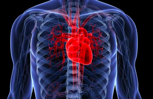 Guia ESC 2016 sobre el diagnóstico y tratamiento de la insuficiencia cardiaca aguda y crónica