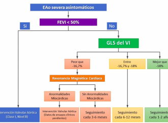 Evaluación de la disfunción ventricular izquierda en la estenosis aórtica severa
