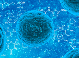 Miocardiopatía inducida por el tratamiento del cáncer: ¿pueden las células madres humanas pluripotenciales inducidas, ayudar a prevenirla?