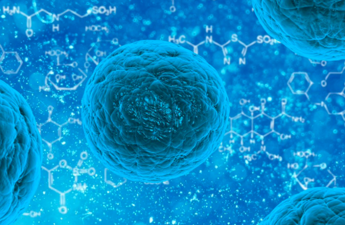 Miocardiopatía inducida por el tratamiento del cáncer: ¿pueden las células madres humanas pluripotenciales inducidas, ayudar a prevenirla?
