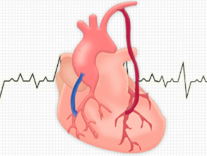 Impacto de la cirugía coronaria arterial extendida en el mundo real. Evidencias y obligaciones de la cirugía cardíaca