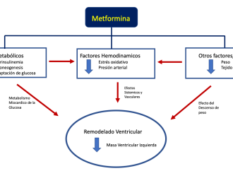 Efecto de la Metformina en la hipertrofia ventricular izquierda Estudio MET-REMODEL