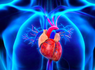 Nuevos y conocidos desafíos en la insuficiencia cardíaca: ¿Los inhibidores de SGLT2 podrán formar parte del standard of care?