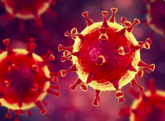 Afectación cardiovascular por coronavirus a propósito de la nueva epidemia por 2019-ncov