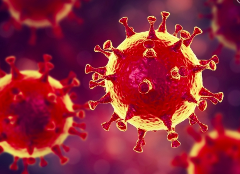 Afectación cardiovascular por coronavirus a propósito de la nueva epidemia por 2019-ncov