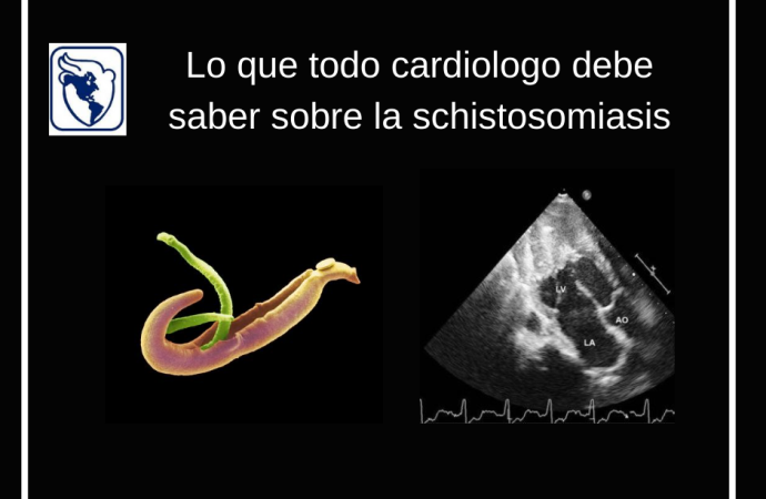 Lo que todo cardiologo debe saber sobre la schistosomiasis