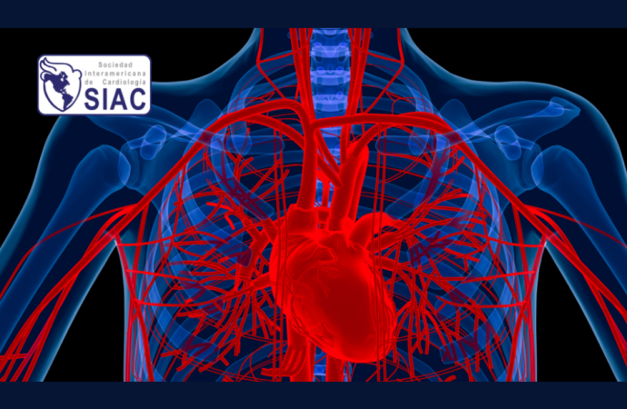 ¿Cómo adaptar la terapia médica según los perfiles de pacientes con insuficiencia cardíaca?