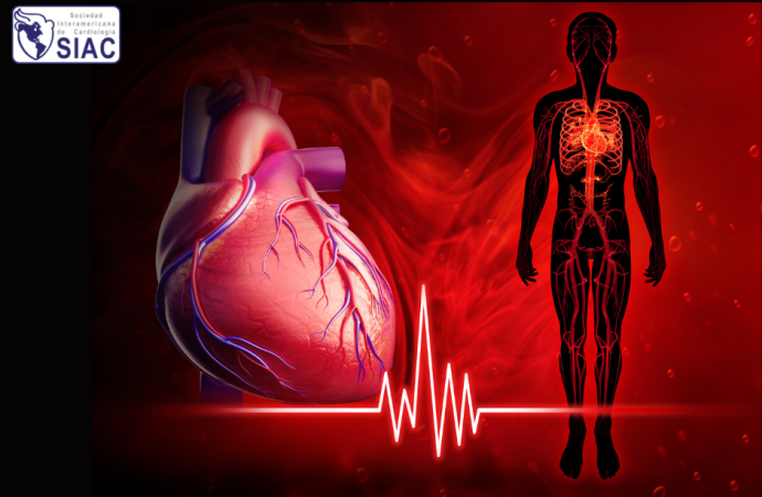 El índice de shock y su utilidad en emergencias coronarias y otras