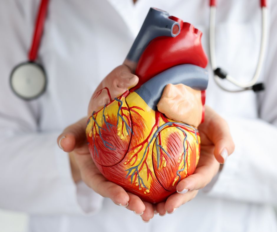 La hoja de ruta de la WHF para reducir la morbi-mortalidad cardiovascular a través de la prevención y control de la cardiopatía reumática